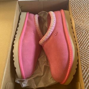 Tasman Uggs slippers